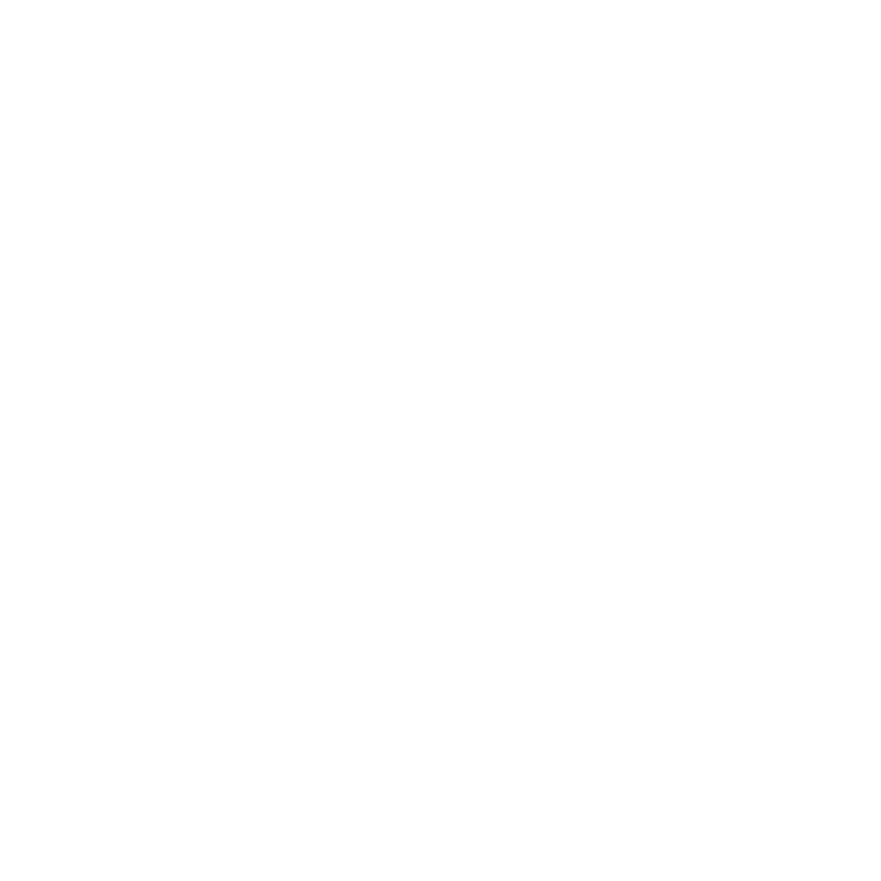 Boss Fuels, Inc.